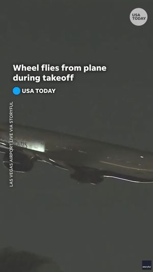 Video post by @usatoday on TikTok
