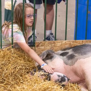 Image post by @michiganstatefair on Instagram