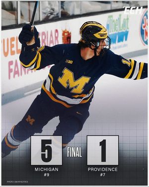 Image post by @everythingcollegehockey on Instagram