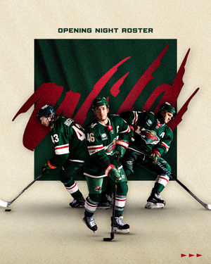 Image post by @minnesotawild on Instagram