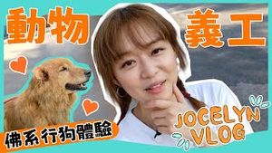 Video post by @chanmingheijocelyn on YouTube