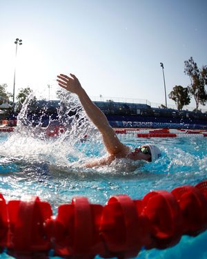 Image post by @usaswimming on Instagram