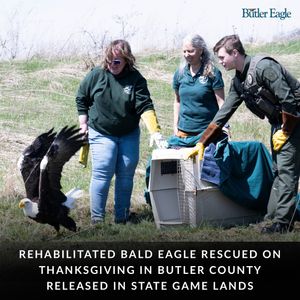 Image post by @butlereaglenews on Instagram