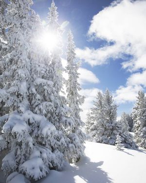 Image post by @keystone_resort on Instagram