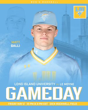 Image post by @liubaseball on Instagram