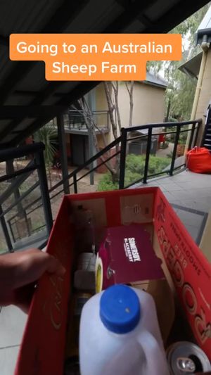 Video post by @sambo.smyth on TikTok