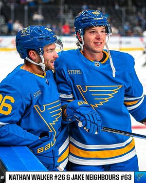 Image post by @nhl on Instagram