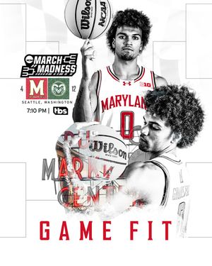 Image post by @terrapinhoops on Instagram