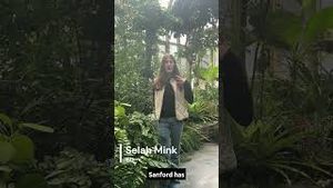 Video post by @madicappi on YouTube