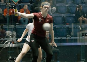 Image post by @harvardsquash on Instagram