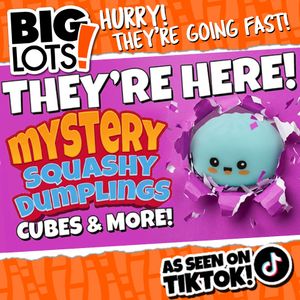 Image post by @biglots on Instagram