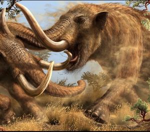 Image post by @mo_mastodons on Instagram