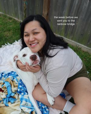 Video post by @arielpearll on TikTok