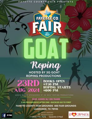 Image post by @fayettecofairtx on Instagram