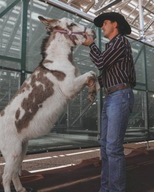 Image post by @cinchjeans on Instagram