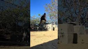 Video post by @amobisays on YouTube