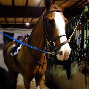 Image post by @nationalwestern on Instagram