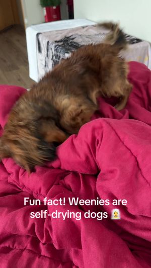 Video post by @kate.cassaidy on TikTok