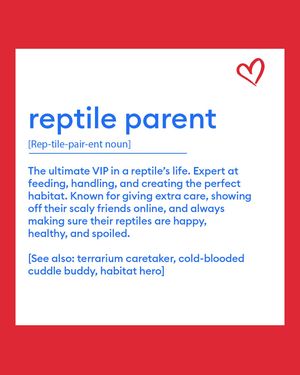 Image post by @petsmart on Instagram