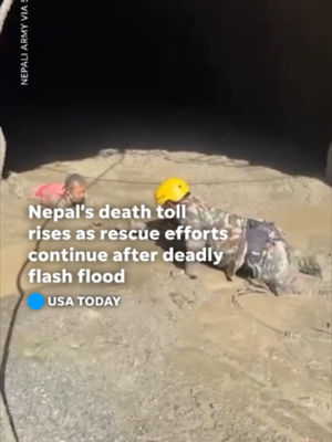Video post by @usatoday on TikTok