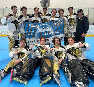 Image post by @lu_rollerhockey on Instagram