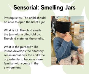 Image post by @mindsproutmontessori on Instagram