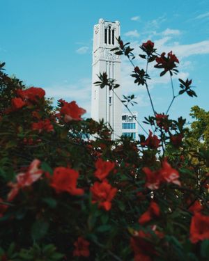 Image post by @ncstate on Instagram