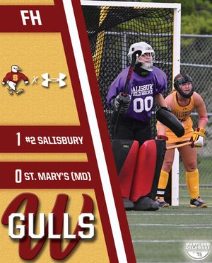 Image post by @suseagulls on Instagram