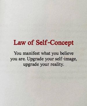 Image post by @theccnyc on Instagram