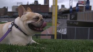 Image post by @stpaulsaints on Facebook