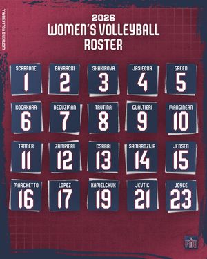 Image post by @FDUKnightsWVB on Twitter