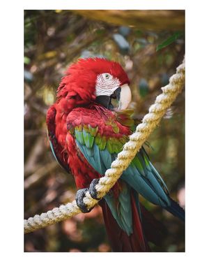 Image post by @throughcollinseyes on Instagram