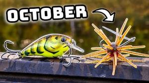 Video post by @tylersreelfishing on YouTube