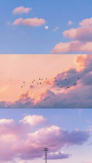 Image post by @inkvoyagestudio on Instagram