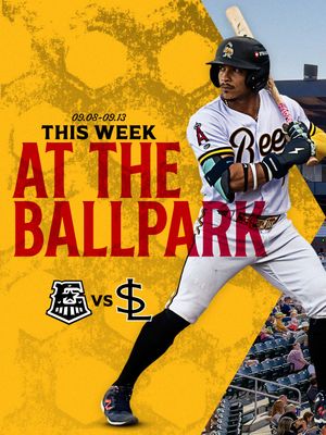 Image post by @saltlakebees on Instagram