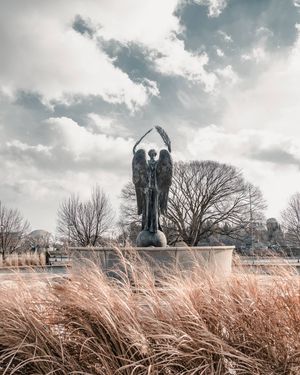 Image post by @dattmatt on Instagram