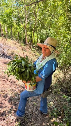 Image post by @divis_oaxaquena on Instagram
