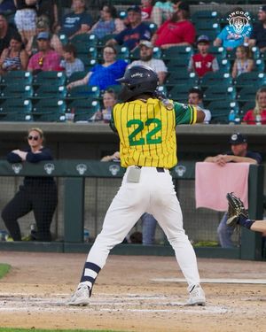 Image post by @saltdogsball on Instagram