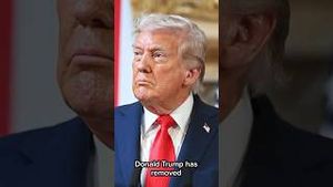 Video post by @msnbc on YouTube