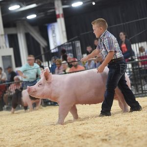Image post by @michiganstatefair on Instagram
