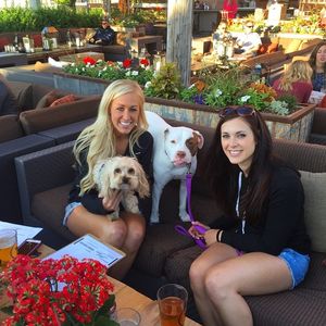 Image post by @theironhorsehotel on Instagram