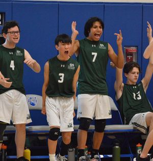 Image post by @laubhan.visuals on Instagram