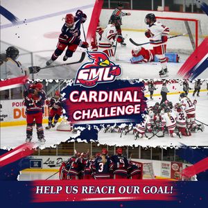 Image post by @smumn_whockey on Instagram