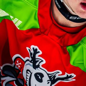 Image post by @ohlicedogs on Instagram