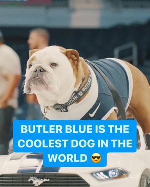 Image post by @the.tournament on Instagram