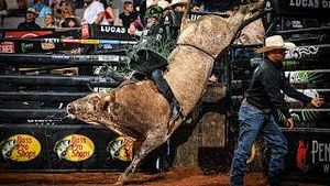 Video post by @pbr on YouTube