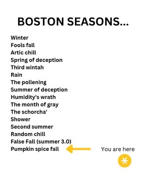 Image post by @boston_uncovered on Instagram