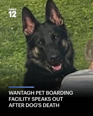 Image post by @news12li on Instagram