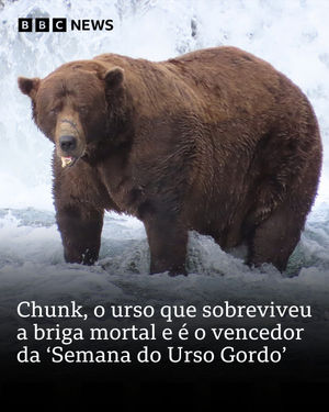 Image post by @bbcbrasil on Instagram