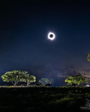 Image post by @noahwetzel on Instagram
